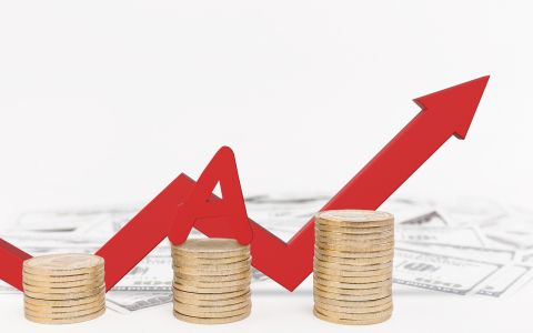 49股权与51股权的区别有哪些?